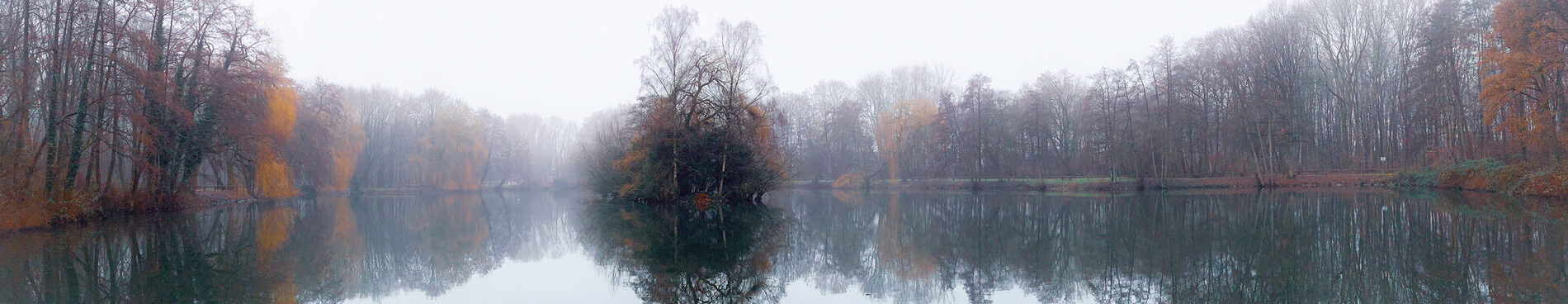 Heidesee im November