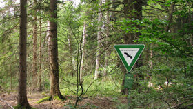 Schild Naturschutzgebiet