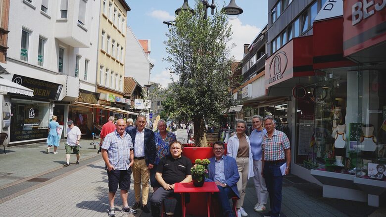 Gruppenfoto Olivenbäume